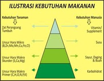 embriomultiagro's tweet photo. Sahabat petani wajib tahu. Ini dia Faktor-faktor yang Mempengaruhi Pertumbuhan Tanaman. Yuk dibaca: https://t.co/fWHr0prcxm #petanicerdas #petanimoderen #petanimelekinternet #petaniindonesia #petanimerdeka #konsultasitani #pupukorganik #embriostore #jualpupuk https://t.co/sR9Lx8PmcU