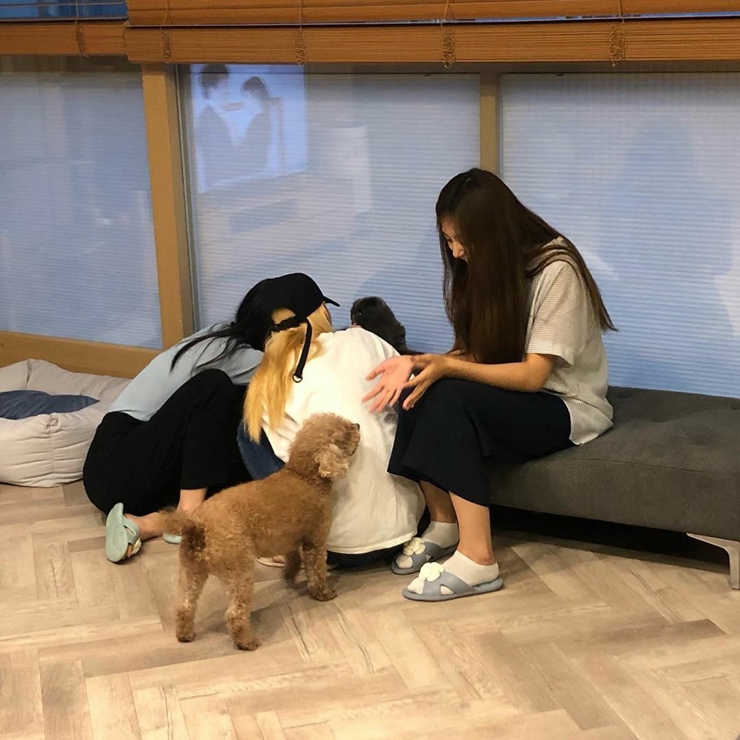 GSYintl's tweet image. [IG] 190729 TWICE members with Nanan &amp;amp; Bami (Bomb) 😊

cr: bbosong_nanan_bomb 

instagram.com/p/B0gRnUFlayh/…