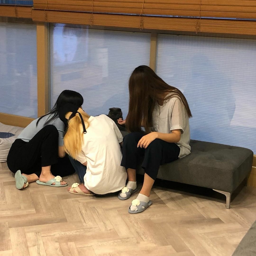 GSYintl's tweet image. [IG] 190729 TWICE members with Nanan &amp;amp; Bami (Bomb) 😊

cr: bbosong_nanan_bomb 

instagram.com/p/B0gRnUFlayh/…