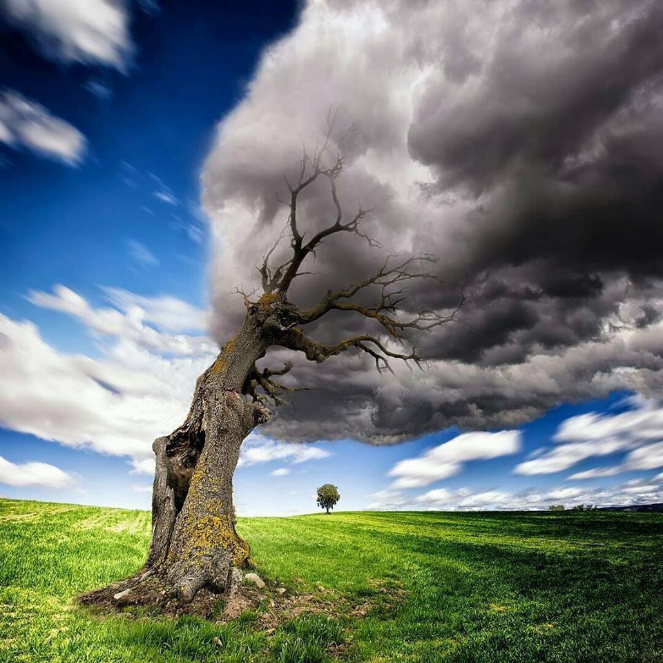 EarthsBeauty2's tweet photo. Stormcatcher 😍 https://t.co/3qDvxMKBwV