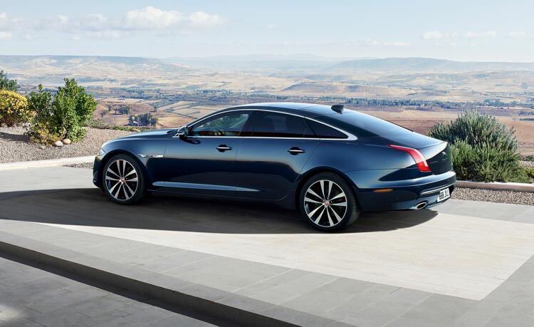 Stronger than Sarcoma tweet media