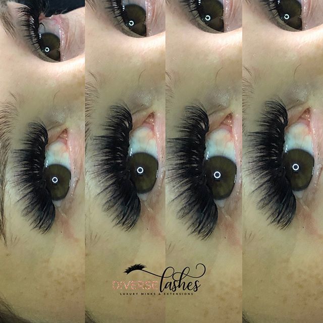 DiverseLashes's tweet photo. Textured Volume 🙌🏽 #lashgiveaway #houstongiveaway #htxlashextensions #lashsale #htxlashtech #houmakeupartist #houstonmicroblading #houstonmicrobladingtraining https://t.co/aaHpgswDkh