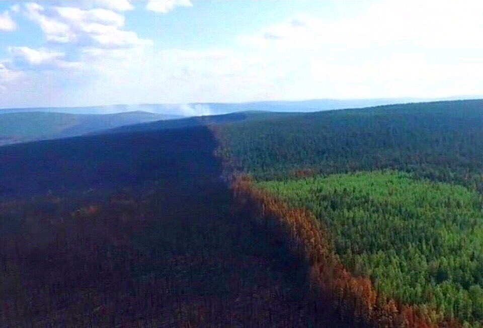 web3tama's tweet photo. 今シベリアで歴史的な規模の山火事が起きてるのだけど、なぜかあまり報道されてないみたいで、みんな助けを求めて写真や動画撮ってSNSで拡散している。3万㎢の規模ということなので、日本の関東地方くらいの面積。。😰 https://t.co/NIxYJDsTHH