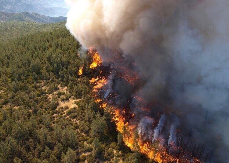 web3tama's tweet photo. 今シベリアで歴史的な規模の山火事が起きてるのだけど、なぜかあまり報道されてないみたいで、みんな助けを求めて写真や動画撮ってSNSで拡散している。3万㎢の規模ということなので、日本の関東地方くらいの面積。。😰 https://t.co/NIxYJDsTHH