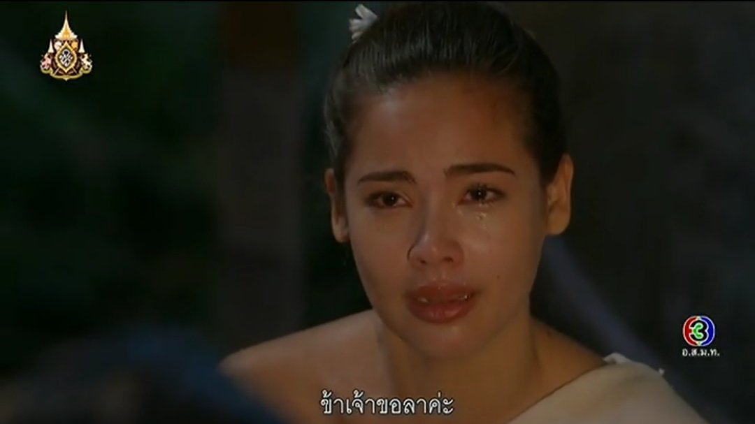 ทาสแมว ทาสหมา ทาสสารพัดสัตว์ที่น่ารักทุกตัว (|||) tweet media