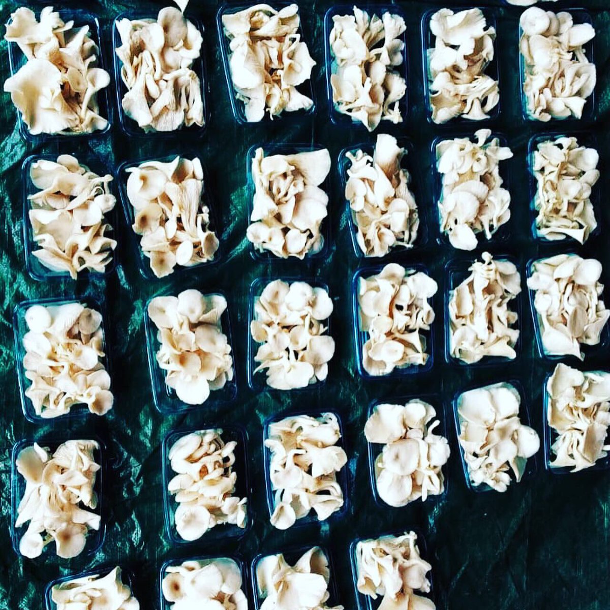 The Rural Mall tweet media