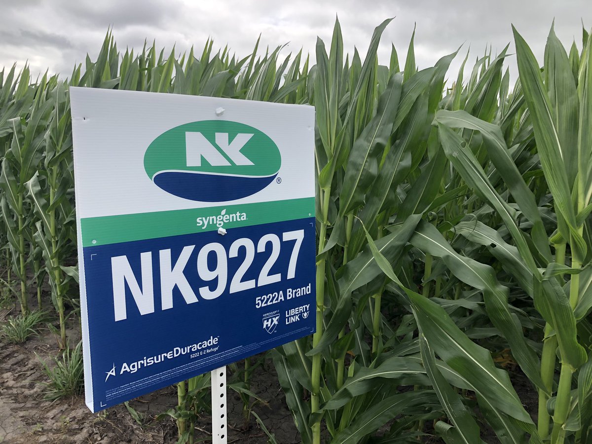 Agrisure Duracade® trait approved for import to EU. Great news in the fight against CRW! Agrisure Duracade technology gives a new trait rotational option for CRW management, for a healthier corn crop and higher yield potential. ow.ly/sw9030peRFo #RotateYourTrait
