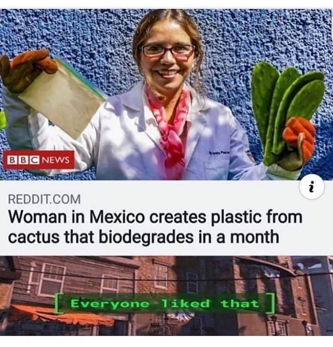 _ecolifestyle's tweet photo. #ocean #plastic #plasticpollution #cleanseas #greenpeace #earth #saveourplanet #saveourseas #nature #marinelife #oceanplastic #plasticfree #eco #ecolifestyleclub #sea #savetheplanet #zerowaste #lowimpact #plasticbagfreeday https://t.co/px7Ek991Wg