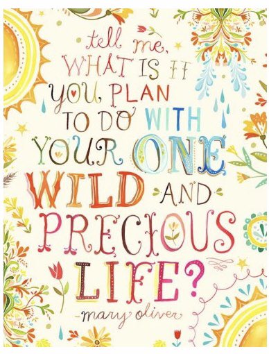 Ten years today since my mum died and I think she’d be proud of my wild and precious life ❤️ #poetry #wildandprecious #maryoliver