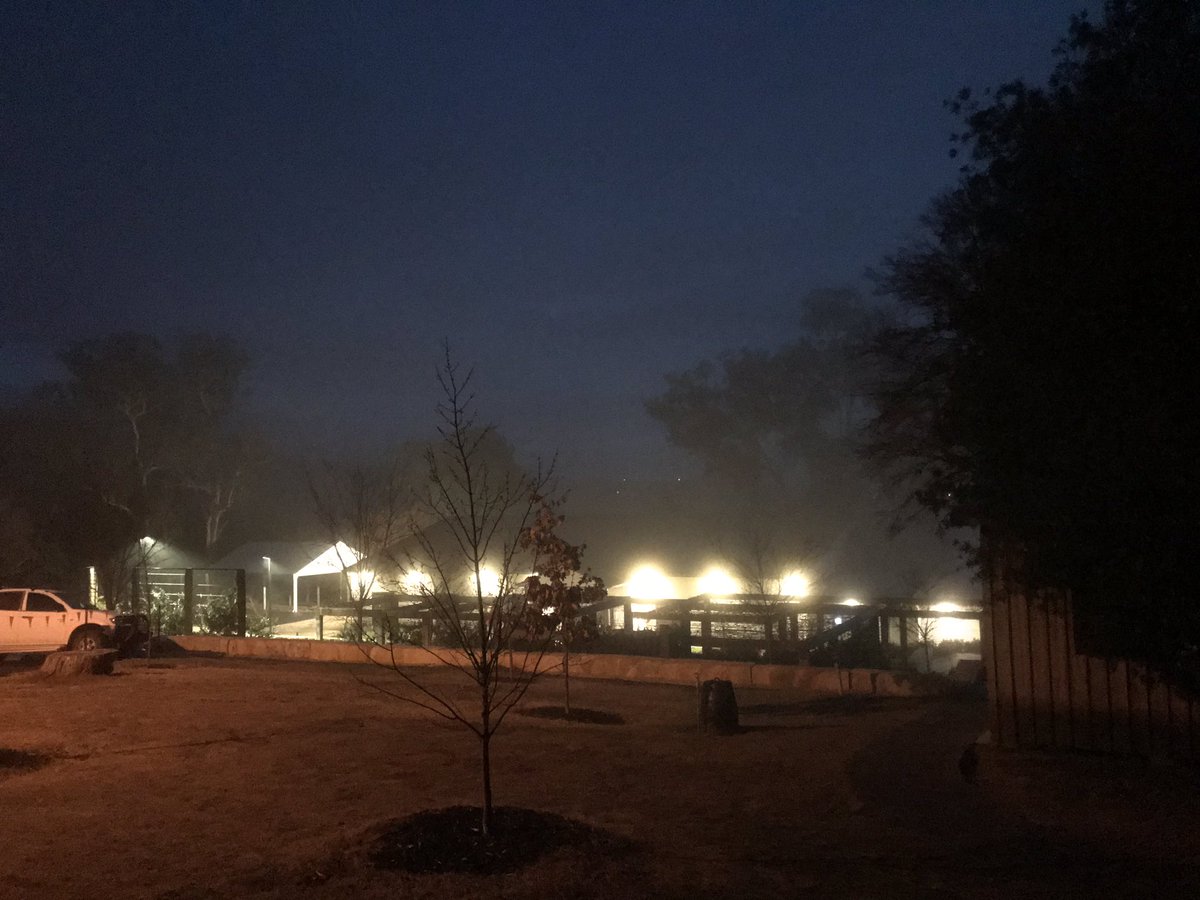 KENSINGTONPS's tweet photo. Sun is slowly rising, a little foggy but we all slept well. Everyone is getting ready for breakfast and day two of adventures. @KENSINGTONPS #StageThreeAdventures https://t.co/AF4liUzJEC