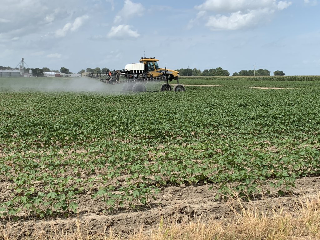Cut beans , watering corn, checking for boot stage in rice to spray Bayer fungicide, spraying bugs and checking bugs. All in a day at Scott learning center