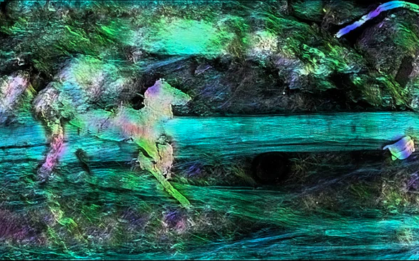 sciam's tweet photo. Bridging veins, stereocilia, glial cells, neural axons. These are some of our editors' favorite images from the annual Art of Neuroscience competition by @ArtNeuro. See all the top entries and the winner here: https://t.co/nZMXMx2RKH https://t.co/lVIK2ztO8W