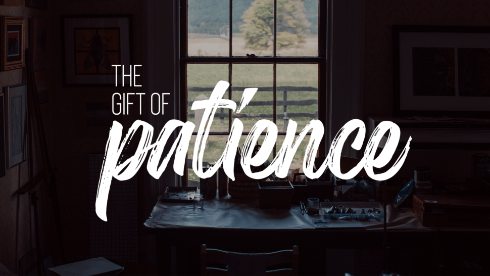 ThinPlace's tweet photo. The Gift of Patience https://t.co/rqRpwxOl9N https://t.co/rQiewZyiz0
