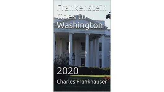 book_tribe's tweet image. • #ElectionComedy re 2020 POTUS platform of Frankenstein Monster interviewed by media reporter and Press Club Luncheon. askdavid.com/reviews/book/h…