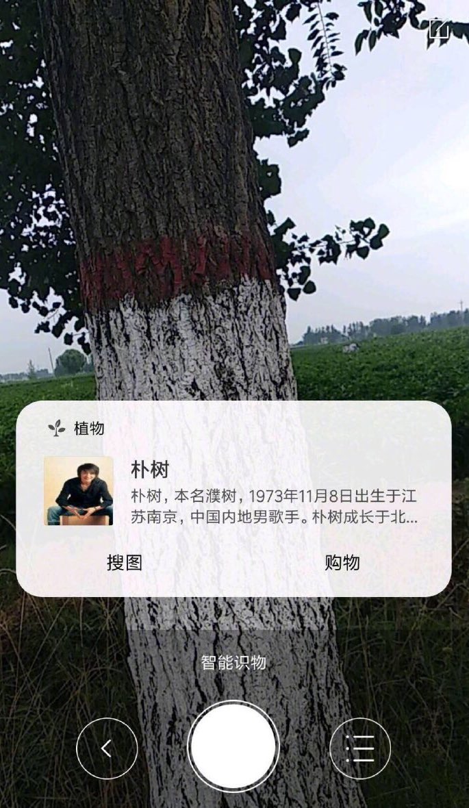 lvmaoshetuite's tweet image. 小米智能识物，雷军看了想打人😂