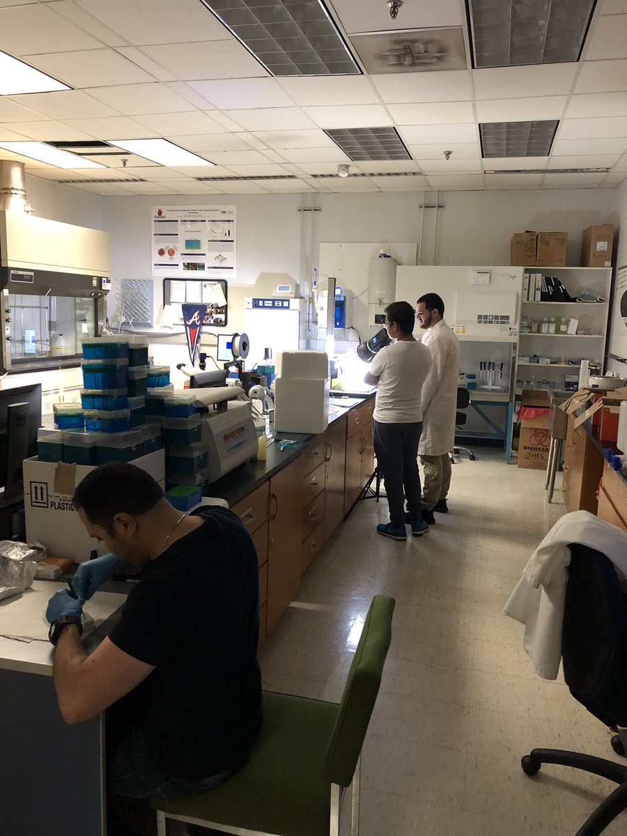 The next summer blockbuster or biomechanical testing of mouse aortic valve leaflets? Or both? Stay tuned...