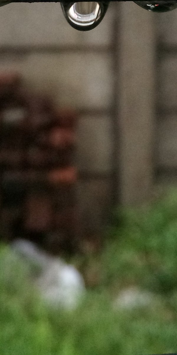 _int3rc3pt0r_'s tweet image. Random monsoon clicks...
On @InFocus_IN #Vision3Pro