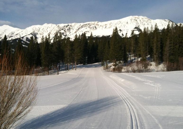 Bozeman Car Rentals LLC (bozemancar_rent) Twitter