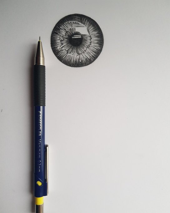 AwakenInspire's tweet photo. Happy Monday! Our #ArtistOfTheDay is @wagner_sylvio w/his #drawings | #Art #drawing https://t.co/AySs6i3XtV