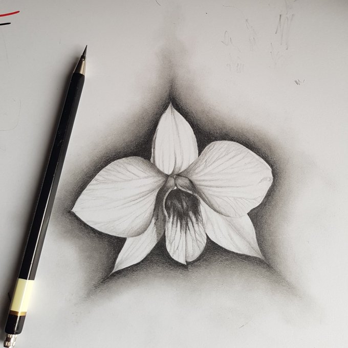 AwakenInspire's tweet photo. Happy Monday! Our #ArtistOfTheDay is @wagner_sylvio w/his #drawings | #Art #drawing https://t.co/AySs6i3XtV