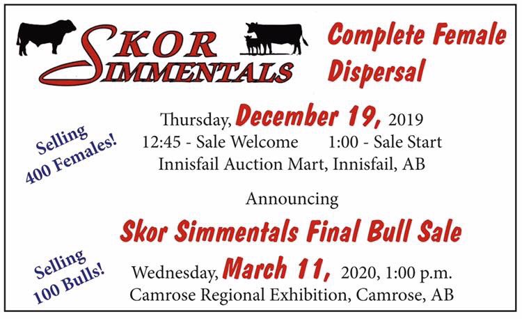 You definitely don’t want to miss this!! #innisfailauctionmarket #teamIAM #dainesfamily #est55 #familyowned #familyoperated #cattlebiz #simmental <a href="/trnscn/">Transcon Livestock Corp.</a>