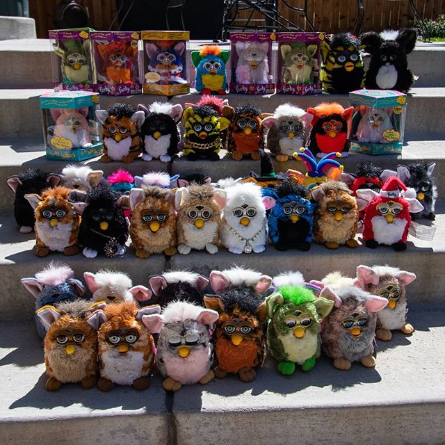 furby collection