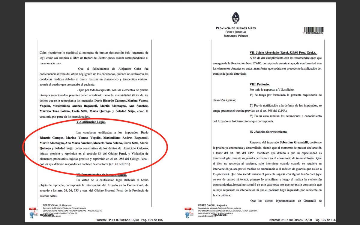 Hoy se cumplen 4 años de la muerte de mi hermano víctima de prácticas médicas salvajes en el Hospital de S. Isidro Melchor Posse. La fiscal pidió la elevación a juicio oral e imputa a 9 médicos por homicidio. Se confirmó lo que vengo denunciando.