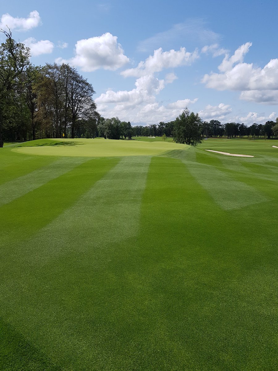 SeanPower747's tweet image. 17th looking extra lovely today in the Sun 🌞 #greenkeeping