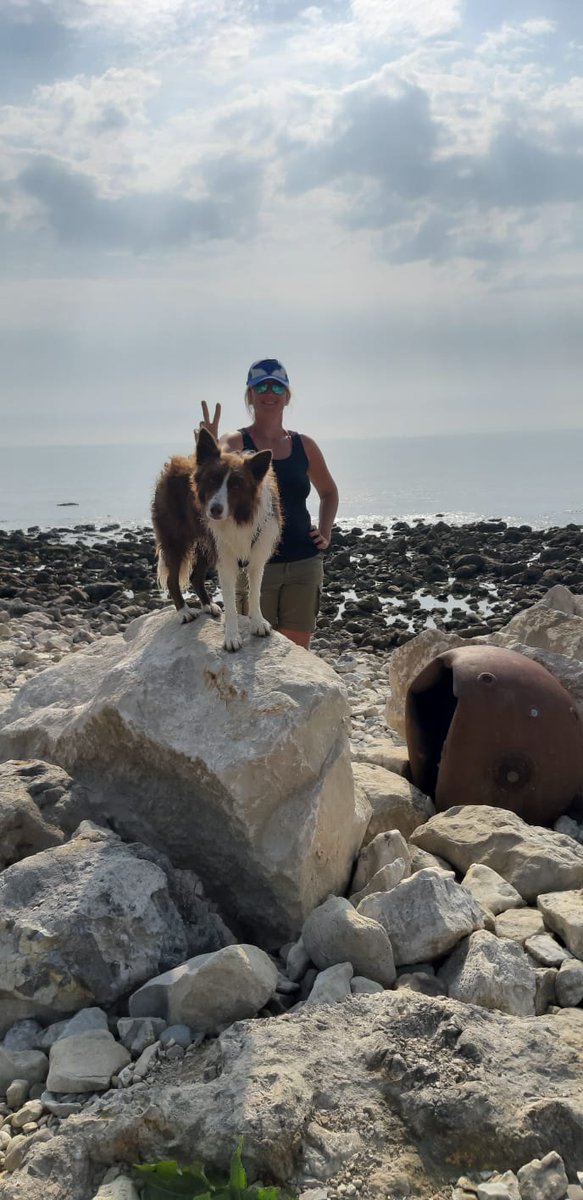 BorderCollieRed's tweet image. Mom stop being silly while I'm posing 😎🐕😆❤😉 #bordercollie #dogoftheday #ilovemydog #collietgedog #dogs #dog #beachday #beach #Dorset