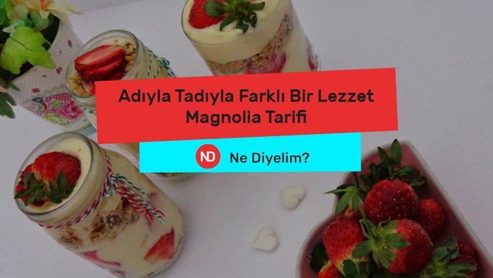 NeDiyelimCom's tweet photo. Kolay yapımı ve müthiş lezzetiyle mutfaklarımıza taht kurmuş olan Magnolia, çok hafif bir tatlı olmasının yanı sıra bütçe dostu olmasıyla da seviliyor. Adını ise Amerika’da ünlü olan bir pastaneden alıyor.

#magnolia #magnoliatarifi #tarif #tarifler #ta https://t.co/oNO9zh396B https://t.co/ZqtOE5uQyG