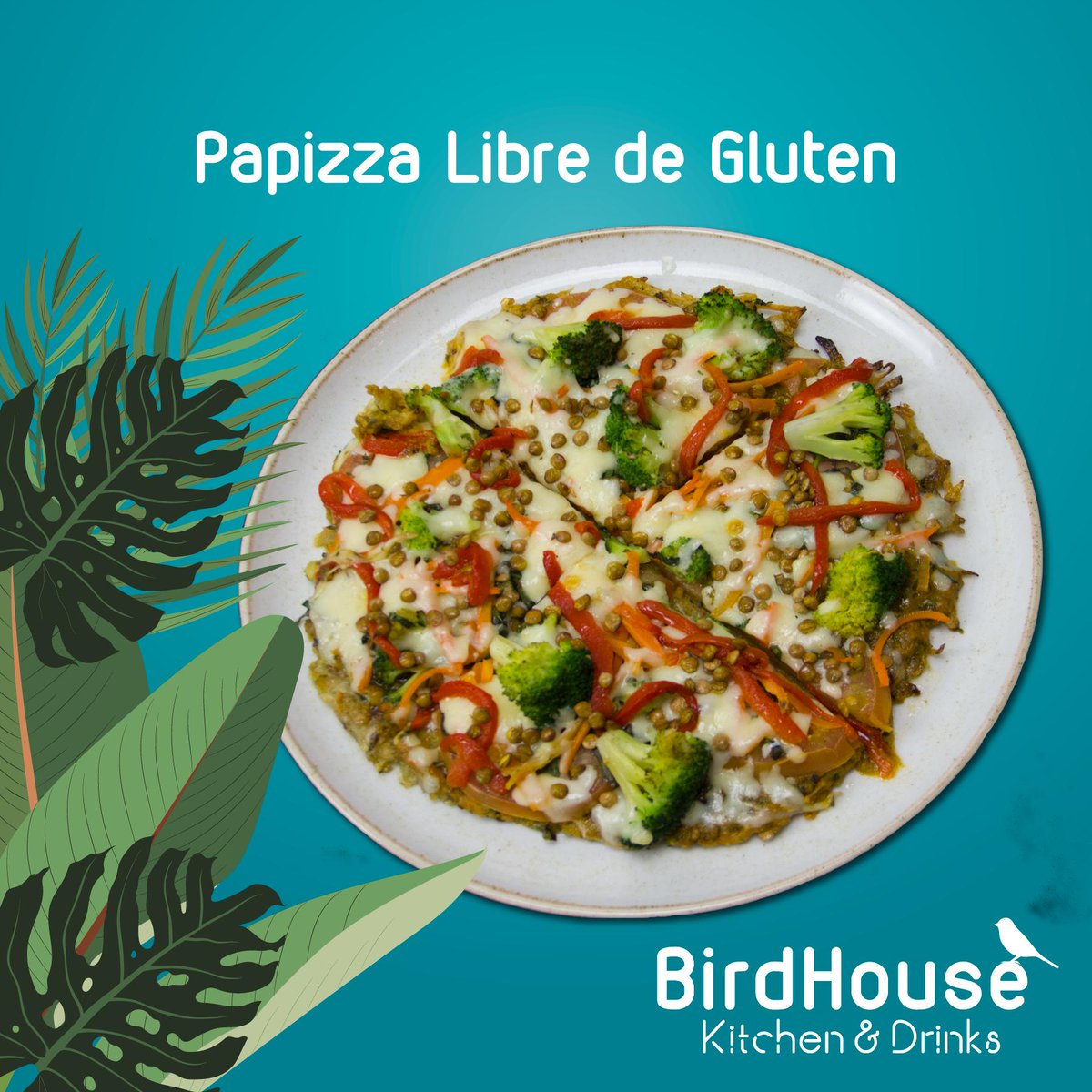 birdhousecol's tweet photo. Vuelve a disfrutar de una deliciosa comida fuera de casa. Contamos con varios productos libres de gluten. Trabajamos cuidadosamente para cuidar de ti. #glutenfree #medellin #restaurantesmedellin #celiacos #libredegluten #medellineats https://t.co/rrR2TvLHeI