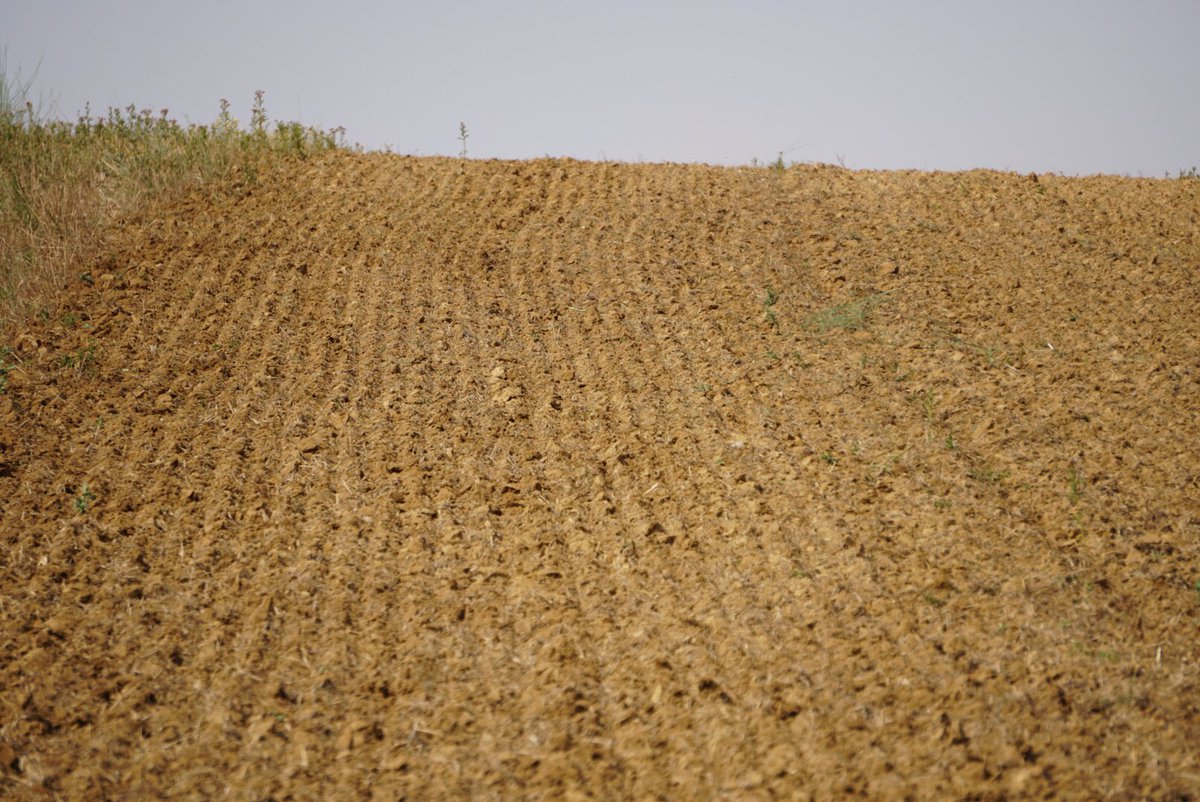☑️ Ya están en el campo las gradas rápidas ROLEX.

Teniendo experiencia durante varios años con las mejores marcas de gradas del mercado, estamos completamente orgullosos e impresionados de nuestras nuevas gradas. La mejor calidad-precio. 

Infórmate.

urbonagricola.net