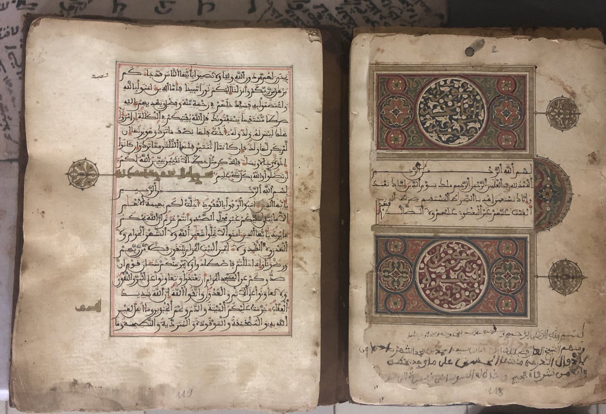 A beauty not yet cataloged. 