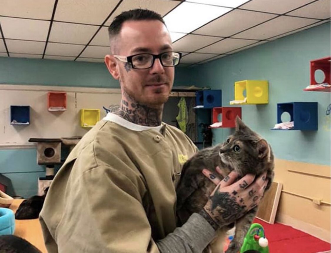 AlbertBarclay69's tweet photo. Prison in Indiana Accepts Shelter Cats and They Change Prisoners https://t.co/9mH4Ac60H3