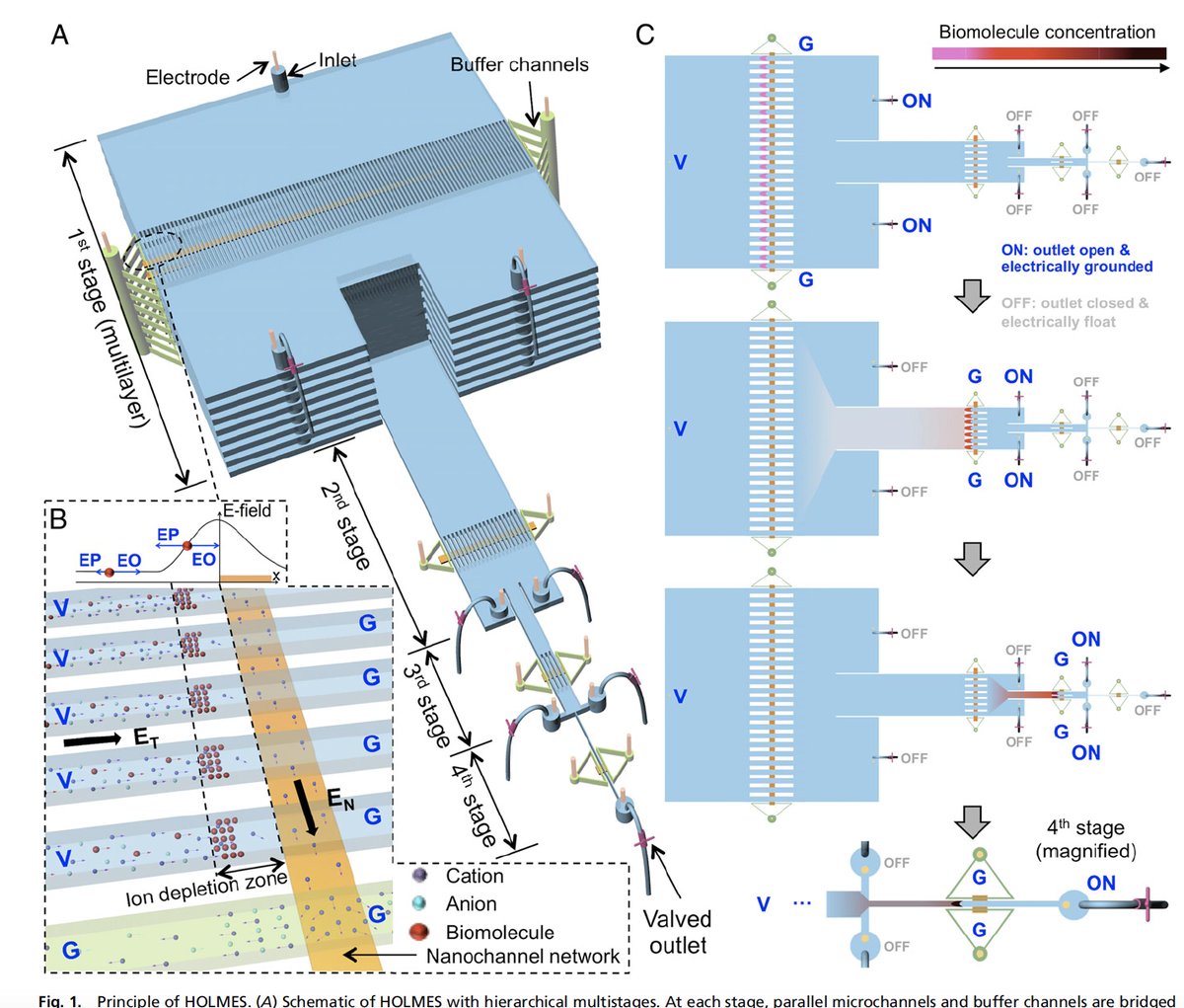 computational experiment approach to