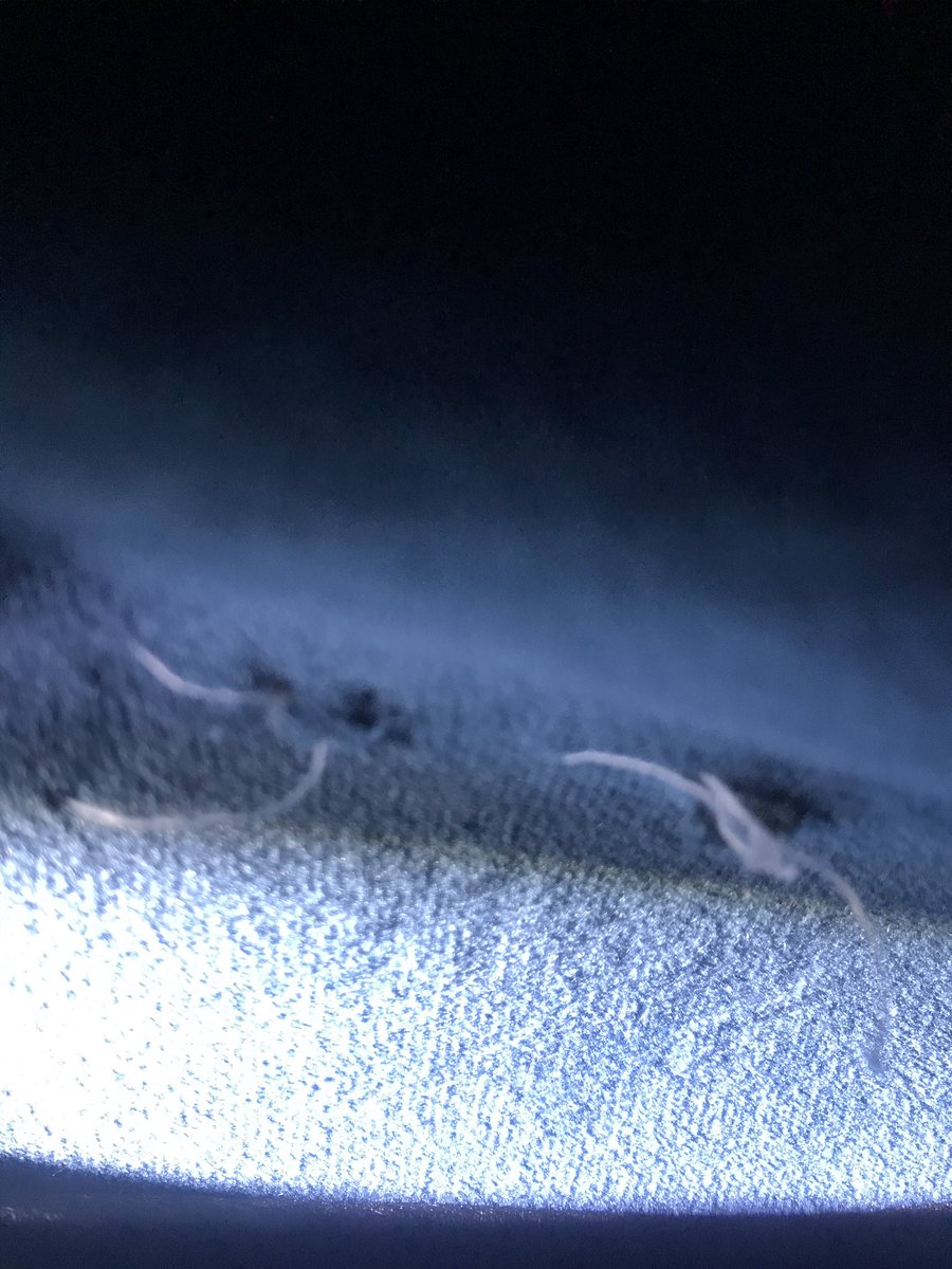 richydrums_'s tweet photo. @LivingSpaces there’s staples sticking out and pu ch holes in the fabric. This is how my “custom order” arrived. AWFUL!!! 😡 #livingspaces https://t.co/5dpPcQ07ki