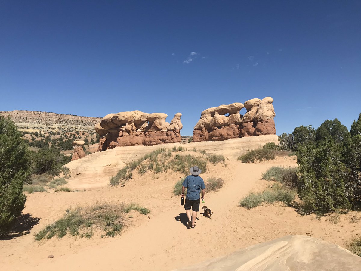 PhysicsEaton's tweet photo. Epic road trip this summer: Albequerque NM, Glen &amp; Bryce Canyon UT, Zion NP UT, Grand Staircase Escalante UT, and Pagosa Springs CO - All to celebrate our fourth wedding anniversary on July 4th! #LionsAtPlay #NationalPark #nationalparks https://t.co/fBetzPclzf