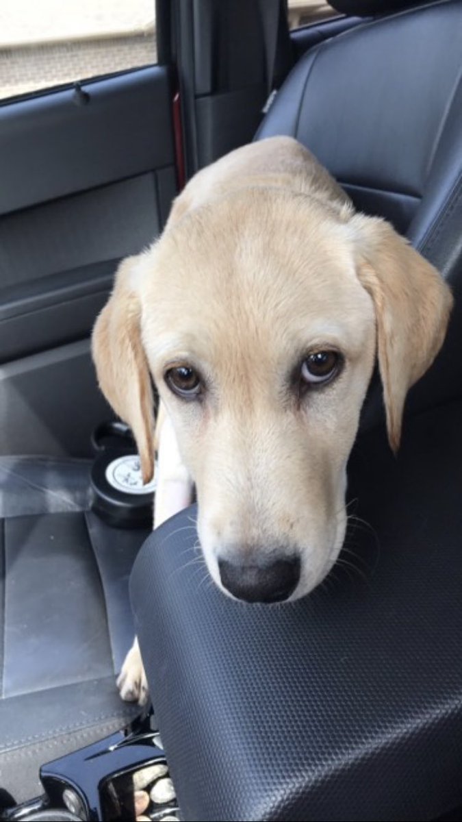 hollyygrace6's tweet photo. Soooo look how sad dolly looks. She wants a sistaa. Am I right??? 

Sooo #retweet 😝 it’s worth a try https://t.co/4TRWn7k05g