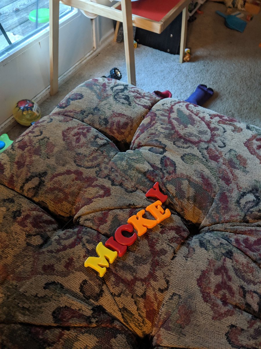 In addition to the boys being autistic, one of the boys is hyperlexic and already spelling though he doesn't really talk.