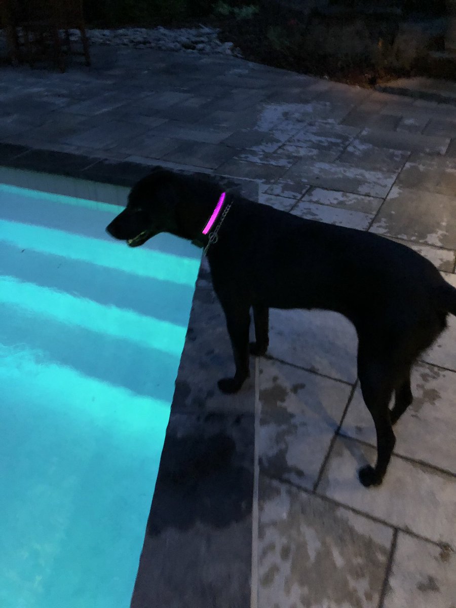 Yeah, me and my dog are going to a rave after this.... #partyanimal