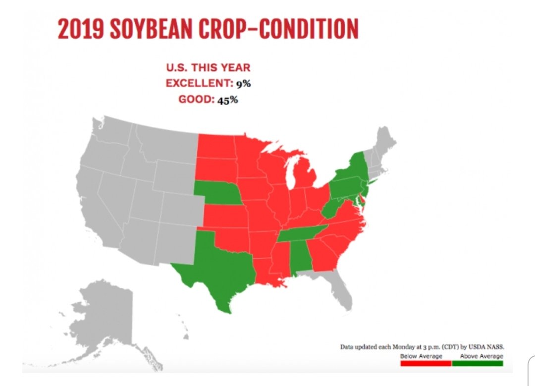 KingKornBR's tweet photo. #soybeans #CropCondition by @SuccessfulFarm #soja #agro #agriculture #agricultura https://t.co/RmweFcYa3K