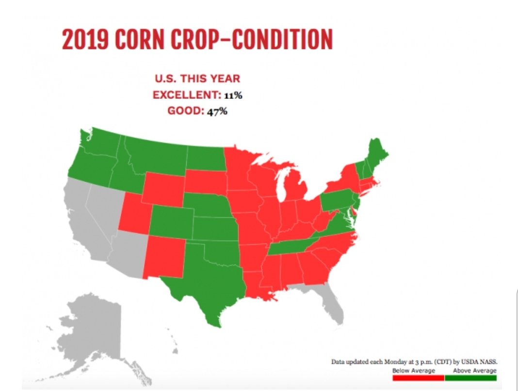 KingKornBR's tweet photo. #corn #CropCondition by @SuccessfulFarm #milho #agro #agriculture #agricultura https://t.co/uU1CNg6PYD