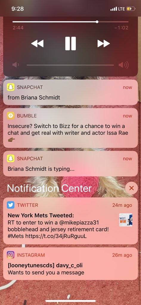 tomtomsays's tweet image. Why, yes. How’d you know? It’s been a weird day🙃🙃 #bringingemoback #decadeundertheinfluence #ihaveproblems 😂