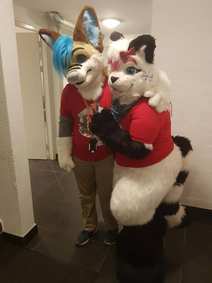 xXAkelaWolfXx's tweet photo. #DutchFurCon My first full Convention ❤️
Also for the staff of DFC thanks for this really cool T-Shirt
I really love it :3
Me And @NightwishCatx
Can't wait for next convention! 😊
~Legalize Awooo! 😝 https://t.co/yANfCM1Th4