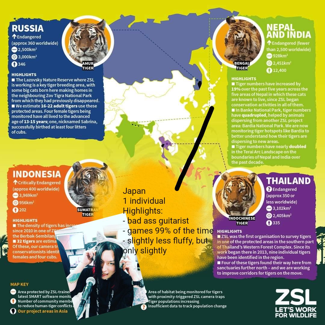 A9_UK's tweet photo. OK I know I've been a little MIA recently but it's #WorldTigerDay 🐯 so I fixed this fact sheet from Zoological Society London
#BecauseObviously https://t.co/rc07q5hIoa