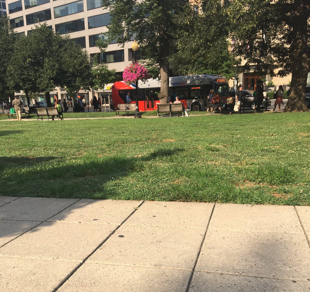 sarah_thayer_'s tweet photo. It’s a nice afternoon for sitting in a park with a milkshake. I can’t quite look at alllll of it (eyes are healthy! and dilated) but the bit of shade I’ve found is good https://t.co/jD7haxS5mm