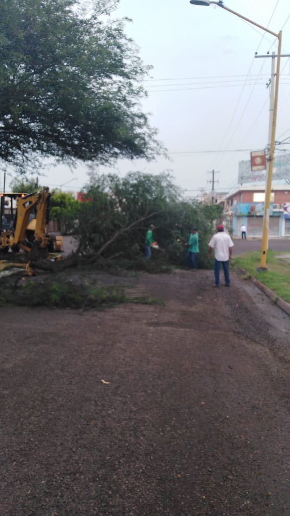HAytoCajeme's tweet photo. ¡Estamos Trabajando!
Las cuadrillas de la Dir de Central de Maquinaria continúan con acciones de conformación, raspado y reparto de agua en diversas partes de nuestro municipio con la finalidad de mejorar la calidad de vida de los habitantes de nuestra ciudad
#VamosTodosporCajeme https://t.co/P0mR3gSw3X