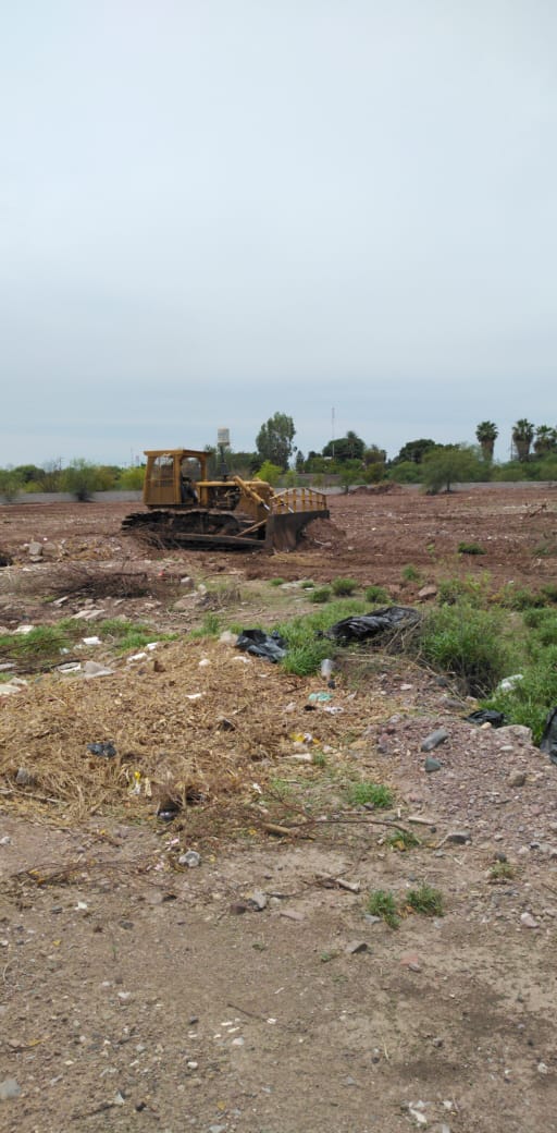HAytoCajeme's tweet photo. ¡Estamos Trabajando!
Las cuadrillas de la Dir de Central de Maquinaria continúan con acciones de conformación, raspado y reparto de agua en diversas partes de nuestro municipio con la finalidad de mejorar la calidad de vida de los habitantes de nuestra ciudad
#VamosTodosporCajeme https://t.co/P0mR3gSw3X