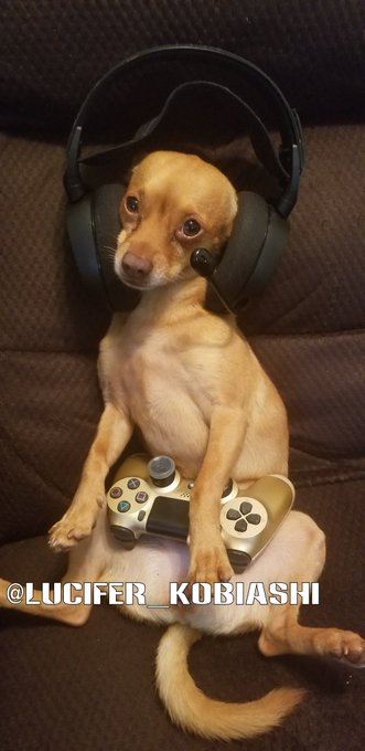 Kobiashi’s pics and videos