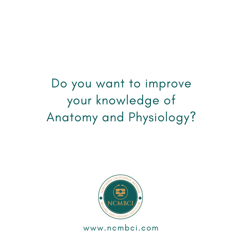 NCMBCI's tweet photo. The Anatomy Online Course is for you!
.

Register now! https://t.co/l0mvEdLVzA
.
.
.
.
.
#anatomy #physiology #onlinecourse #NCMBCI #aapc #cpc #cpcexam #certifiedprofessionalcoder #medicalcoding #medicalcoder #medicalbiller #medicalbilling https://t.co/YADn6XxgY1